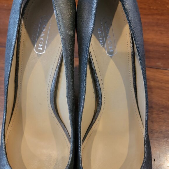 Coach Bergen Metallic Gray Pointy Toe Platform Heels with Rose Embellishment - Picture 9 of 15